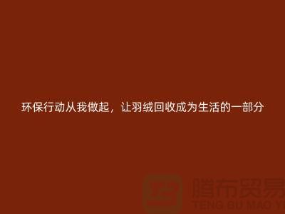 環保行動從我做起，讓羽絨回收成為生活的一部分