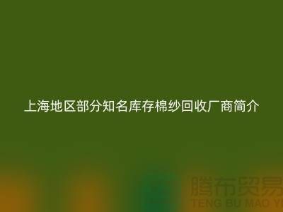 上海地區部分知名庫存棉紗回收廠商簡介