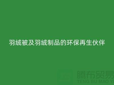 正規羽絨回收公司 —— 您的羽絨服、羽絨被及羽絨制品的環保再生伙伴