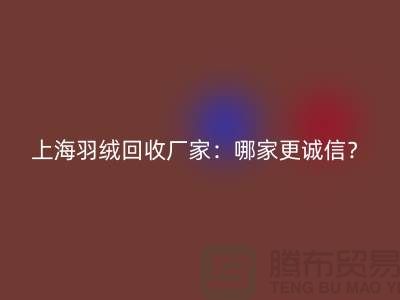 ### 揭秘上海羽絨回收廠家：哪家更誠信？騰布貿易ShtengHu.com